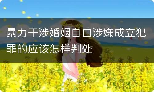 暴力干涉婚姻自由涉嫌成立犯罪的应该怎样判处