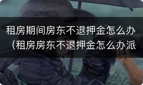 租房期间房东不退押金怎么办（租房房东不退押金怎么办派出所管吗）