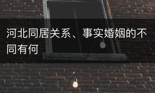 河北同居关系、事实婚姻的不同有何