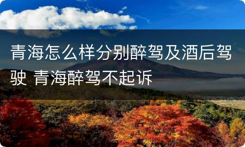 青海怎么样分别醉驾及酒后驾驶 青海醉驾不起诉