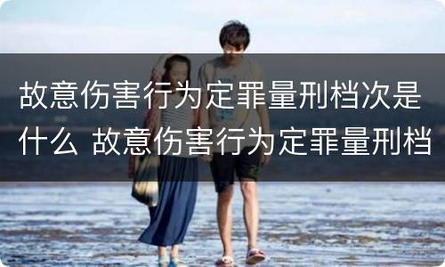 故意伤害行为定罪量刑档次是什么 故意伤害行为定罪量刑档次是什么标准