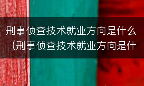 刑事侦查技术就业方向是什么（刑事侦查技术就业方向是什么专业）