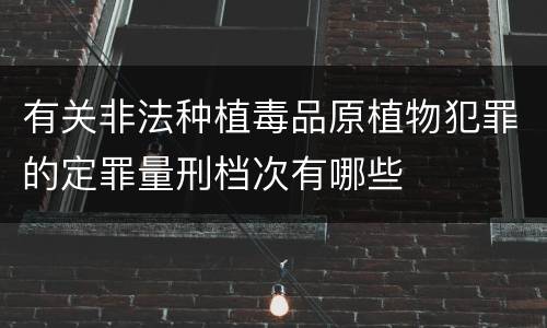 有关非法种植毒品原植物犯罪的定罪量刑档次有哪些