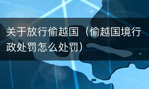 关于放行偷越国（偷越国境行政处罚怎么处罚）