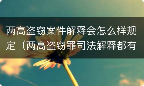 两高盗窃案件解释会怎么样规定（两高盗窃罪司法解释都有哪些）