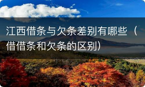 江西借条与欠条差别有哪些（借借条和欠条的区别）