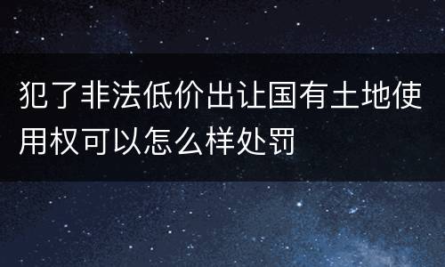 犯了非法低价出让国有土地使用权可以怎么样处罚
