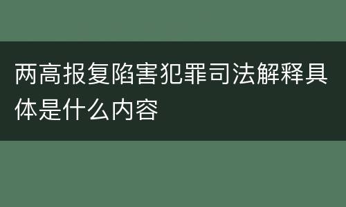 两高报复陷害犯罪司法解释具体是什么内容