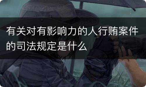 有关对有影响力的人行贿案件的司法规定是什么