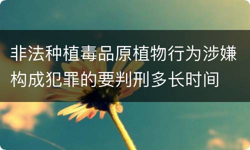 非法种植毒品原植物行为涉嫌构成犯罪的要判刑多长时间