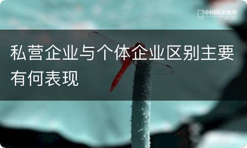 私营企业与个体企业区别主要有何表现