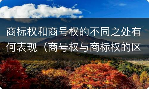 商标权和商号权的不同之处有何表现（商号权与商标权的区别）