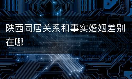 陕西同居关系和事实婚姻差别在哪