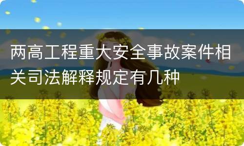 两高工程重大安全事故案件相关司法解释规定有几种