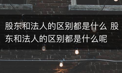 股东和法人的区别都是什么 股东和法人的区别都是什么呢