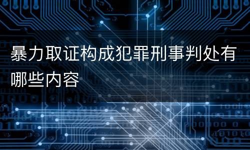 暴力取证构成犯罪刑事判处有哪些内容