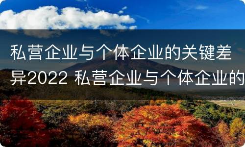 私营企业与个体企业的关键差异2022 私营企业与个体企业的区别
