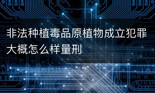 非法种植毒品原植物成立犯罪大概怎么样量刑