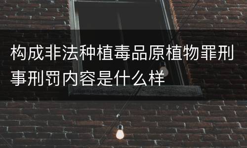 构成非法种植毒品原植物罪刑事刑罚内容是什么样