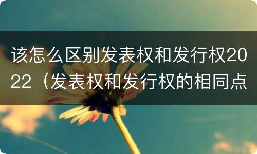 该怎么区别发表权和发行权2022（发表权和发行权的相同点）