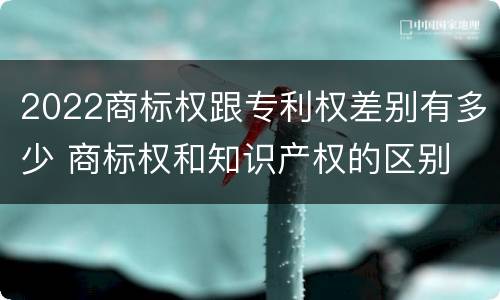 2022商标权跟专利权差别有多少 商标权和知识产权的区别