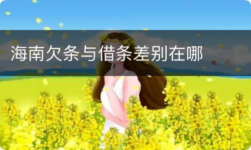 海南欠条与借条差别在哪