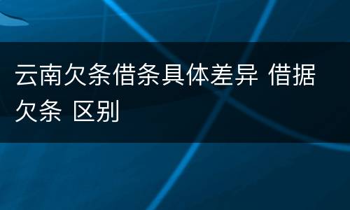云南欠条借条具体差异 借据 欠条 区别