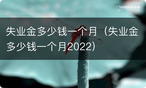 失业金多少钱一个月（失业金多少钱一个月2022）