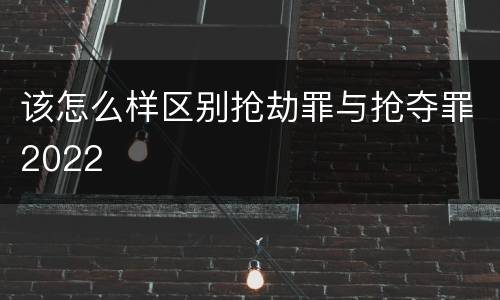 该怎么样区别抢劫罪与抢夺罪2022