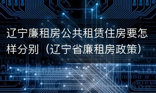 辽宁廉租房公共租赁住房要怎样分别（辽宁省廉租房政策）