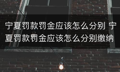 宁夏罚款罚金应该怎么分别 宁夏罚款罚金应该怎么分别缴纳