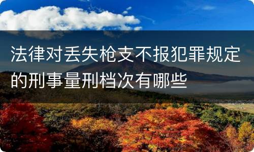 法律对丢失枪支不报犯罪规定的刑事量刑档次有哪些