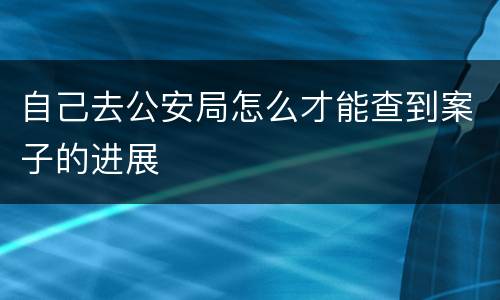 自己去公安局怎么才能查到案子的进展