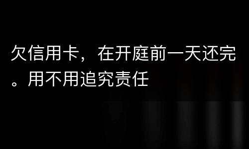 欠信用卡，在开庭前一天还完。用不用追究责任