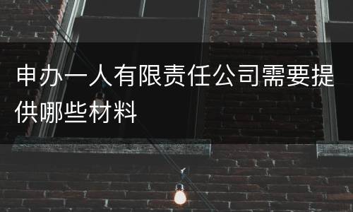 申办一人有限责任公司需要提供哪些材料