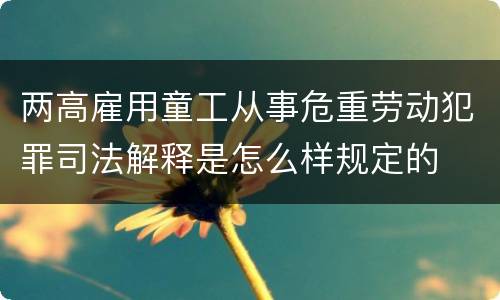 两高雇用童工从事危重劳动犯罪司法解释是怎么样规定的