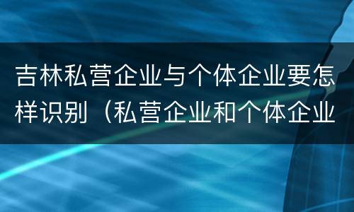吉林私营企业与个体企业要怎样识别（私营企业和个体企业）