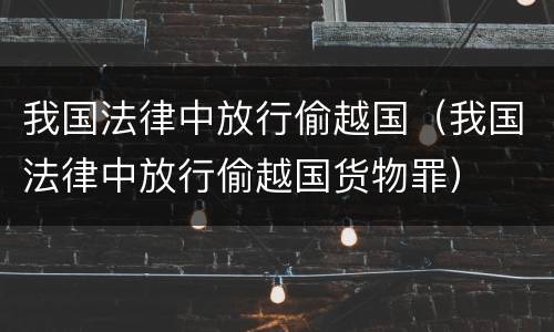 我国法律中放行偷越国（我国法律中放行偷越国货物罪）