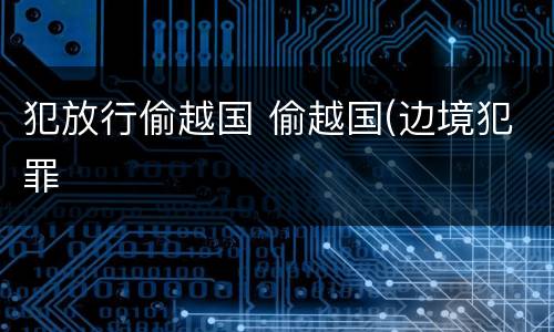 犯放行偷越国 偷越国(边境犯罪