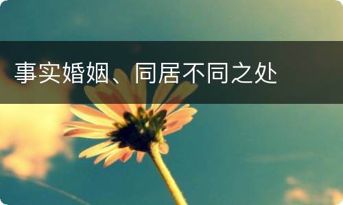 事实婚姻、同居不同之处