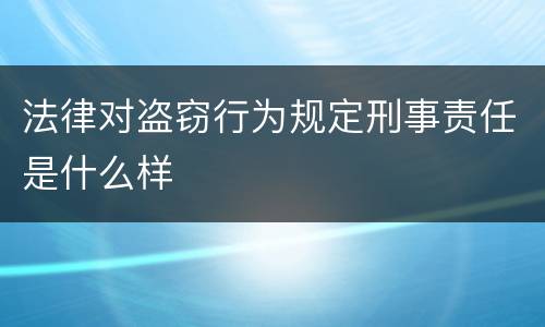 法律对盗窃行为规定刑事责任是什么样