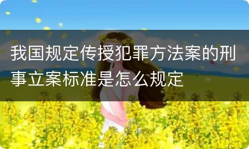 我国规定传授犯罪方法案的刑事立案标准是怎么规定