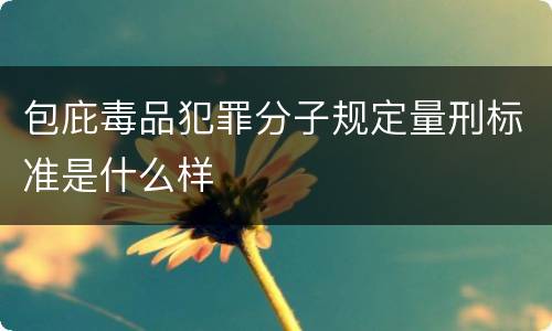 包庇毒品犯罪分子规定量刑标准是什么样