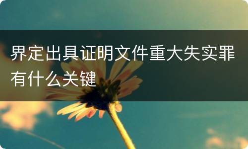 界定出具证明文件重大失实罪有什么关键