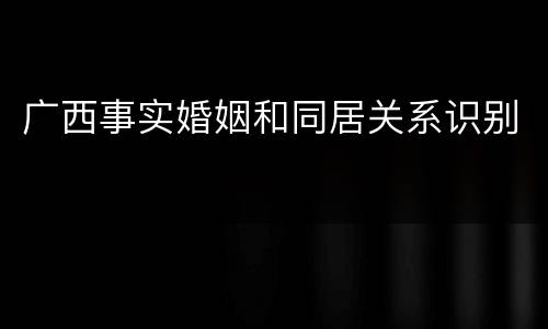 广西事实婚姻和同居关系识别