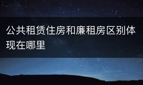 公共租赁住房和廉租房区别体现在哪里