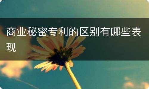 商业秘密专利的区别有哪些表现