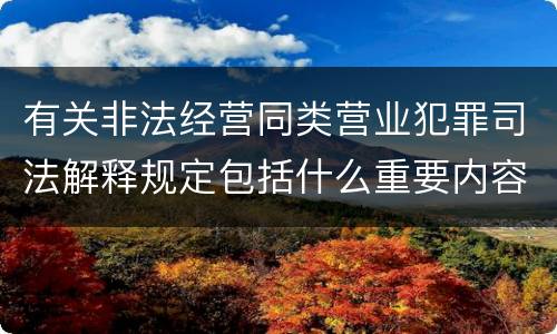 有关非法经营同类营业犯罪司法解释规定包括什么重要内容