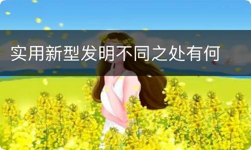 实用新型发明不同之处有何