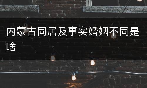 内蒙古同居及事实婚姻不同是啥